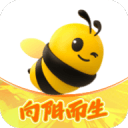 又赛季报销！这队好倒霉啊！